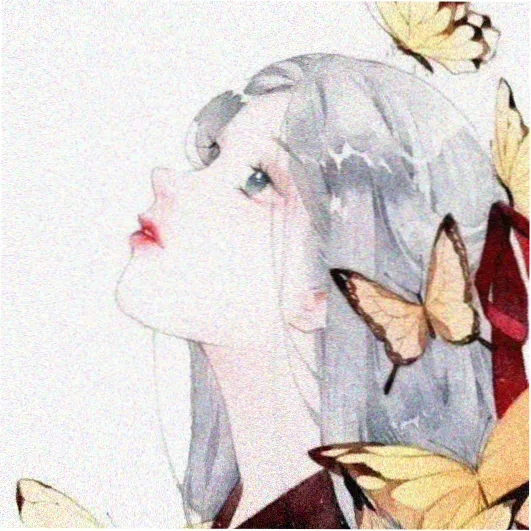 观众头像 深夜刷综艺